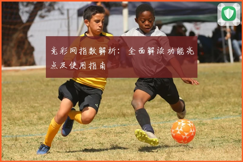 竞彩网指数解析：全面解读功能亮点及使用指南