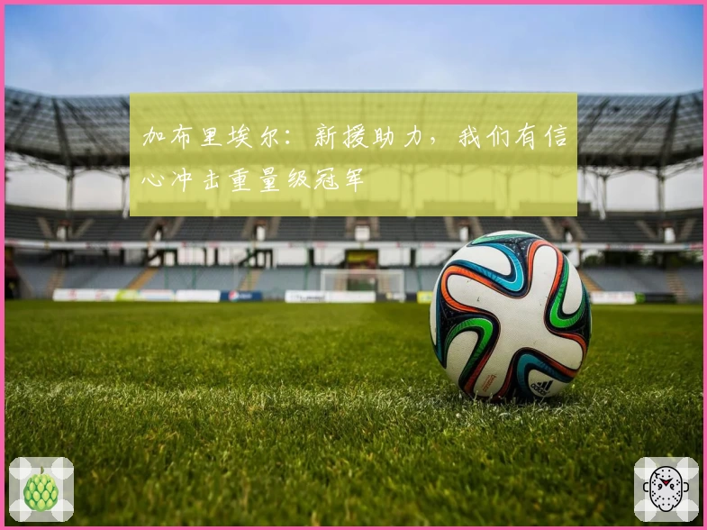 加布里埃尔：新援助力，我们有信心冲击重量级冠军