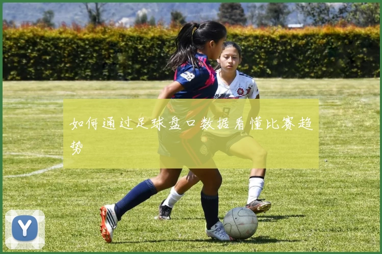 如何通过足球盘口数据看懂比赛趋势