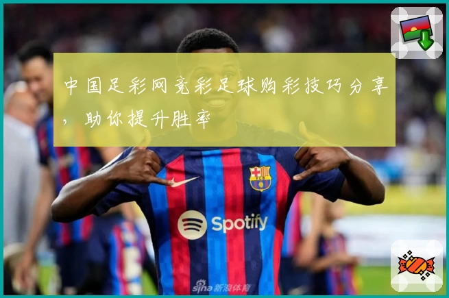 中国足彩网竞彩足球购彩技巧分享，助你提升胜率