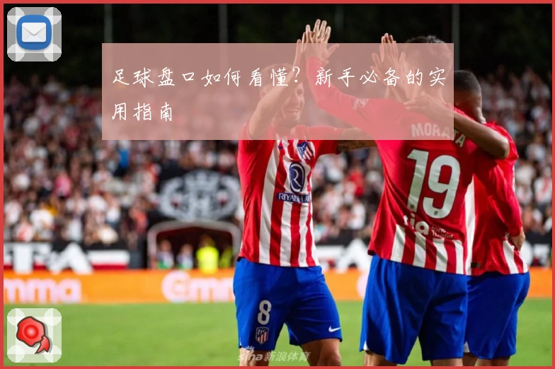 足球盘口如何看懂？新手必备的实用指南